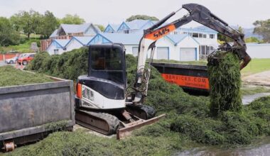 Minister reviews funding after $133k Rotorua lake weed clean-up