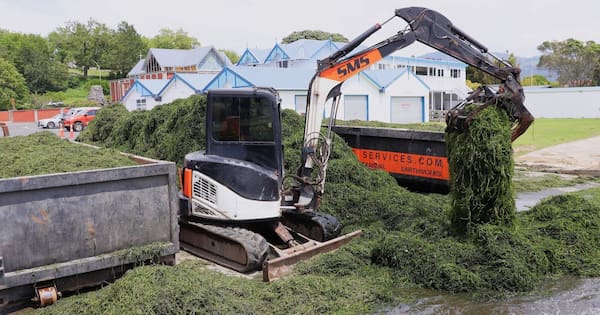Minister reviews funding after $133k Rotorua lake weed clean-up