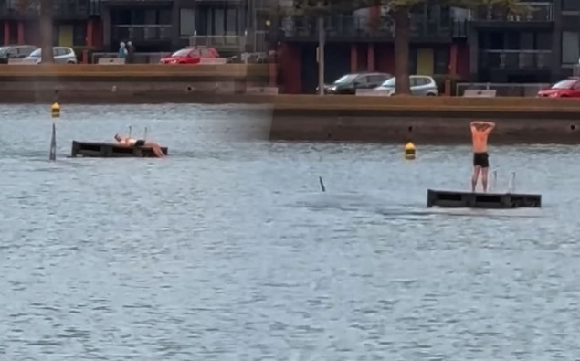 Orca surround swimmer on pontoon at Wellington’s Oriental Bay