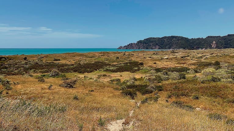 The Ōpihi Block at Piripai is considered by some to be the site of one of New Zealand's most ancient urupa.