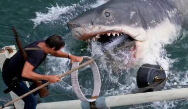 These Book Adaptations Are Better As Movies