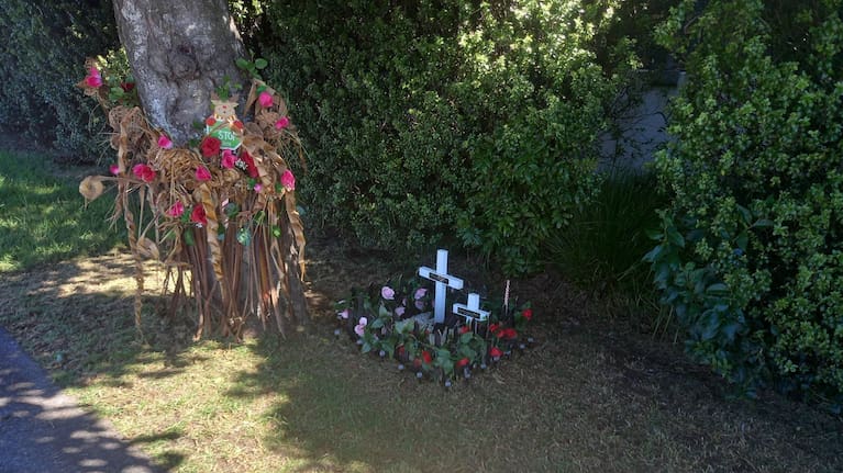 A picture of the site before the alleged vandalism on Great South Rd. 