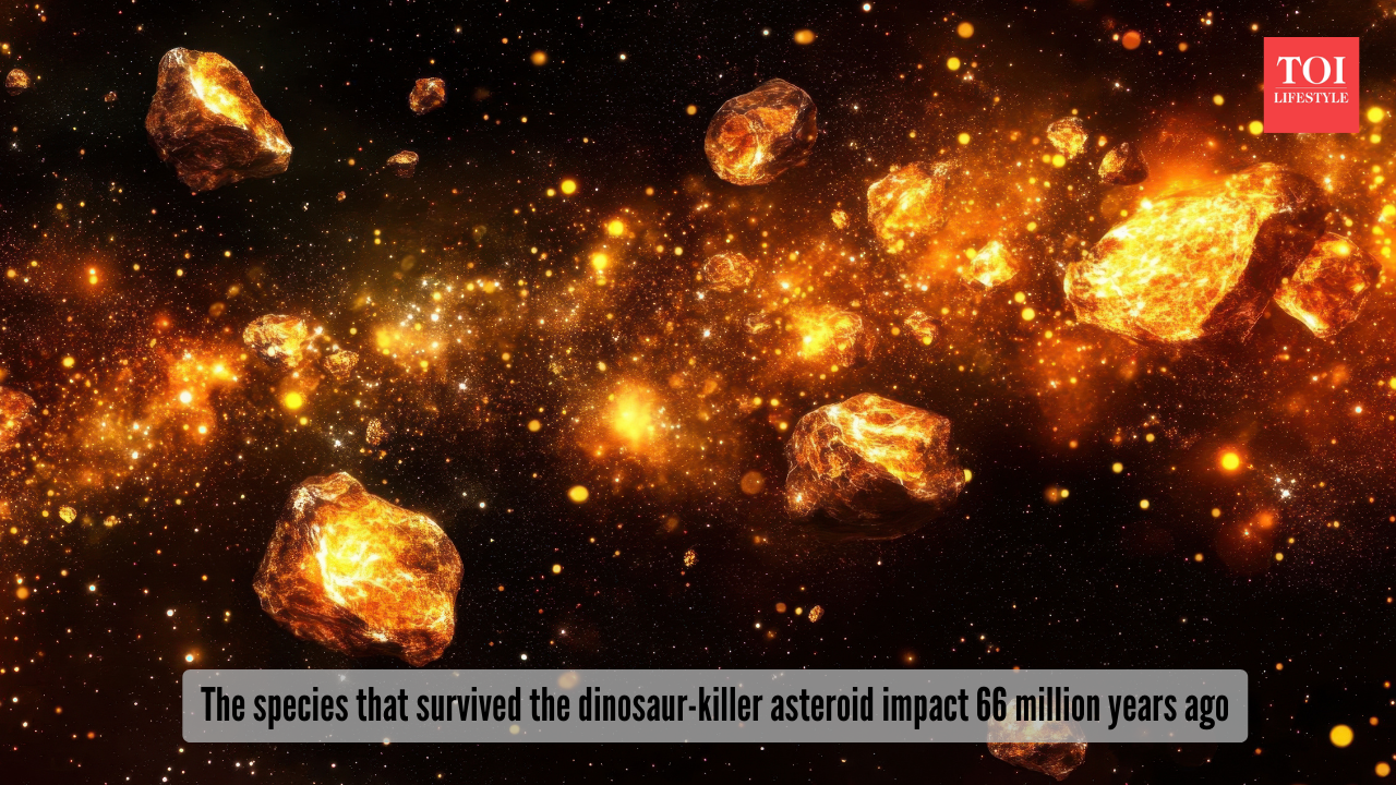 The species that survived the dinosaur-killer asteroid impact 66 million years ago The species that survived the dinosaur-killer asteroid impact 66 million years ago