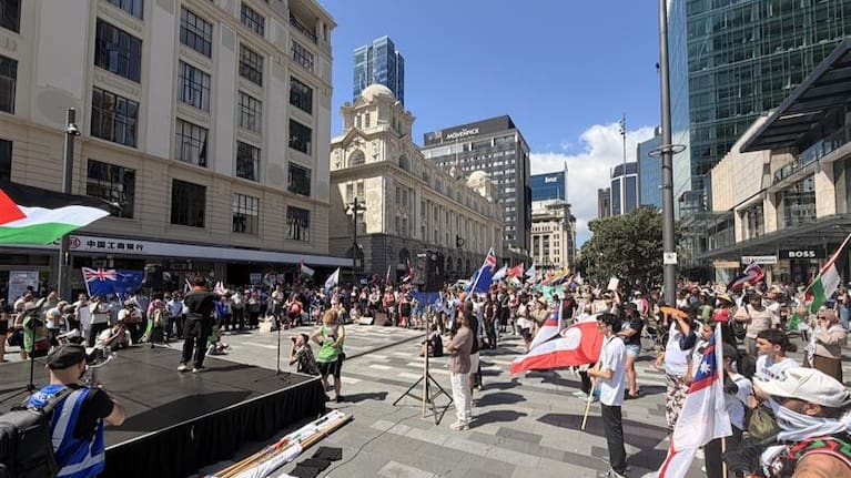 The Toitu te Aroha rally at Te Komititanga. 