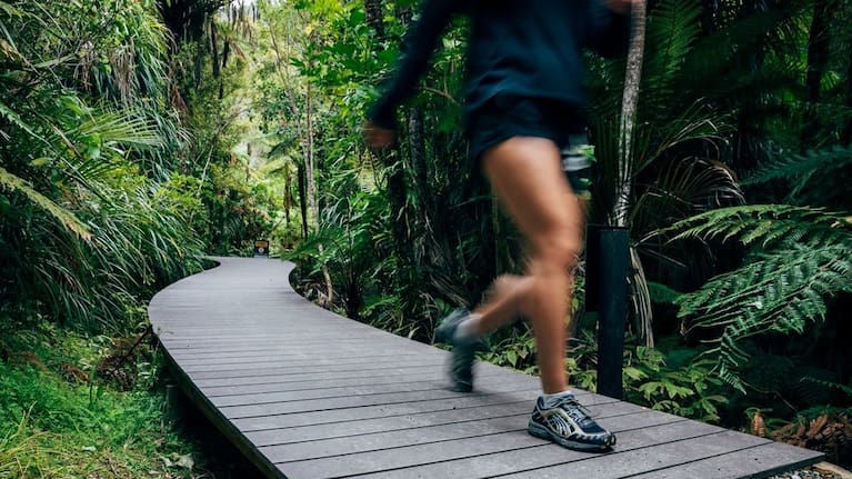 There are 28 regional parks in Auckland, and very popular with visitors during the summer months. (Source: Auckland Council)