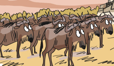 Predators of the Great Wildebeest Migration: Then and now (cartoon)