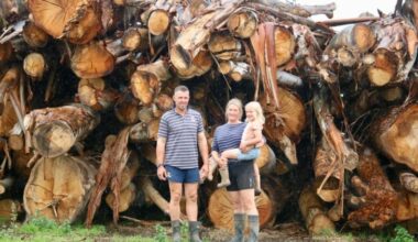 Clutha clean-up continues as council bill nears $1m