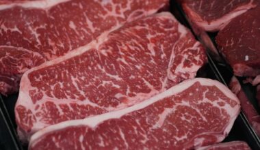 Experts question diet guidelines' higher protein-intake advice