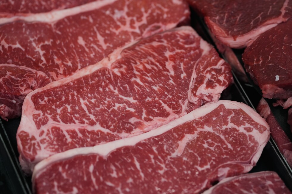 Experts question diet guidelines' higher protein-intake advice