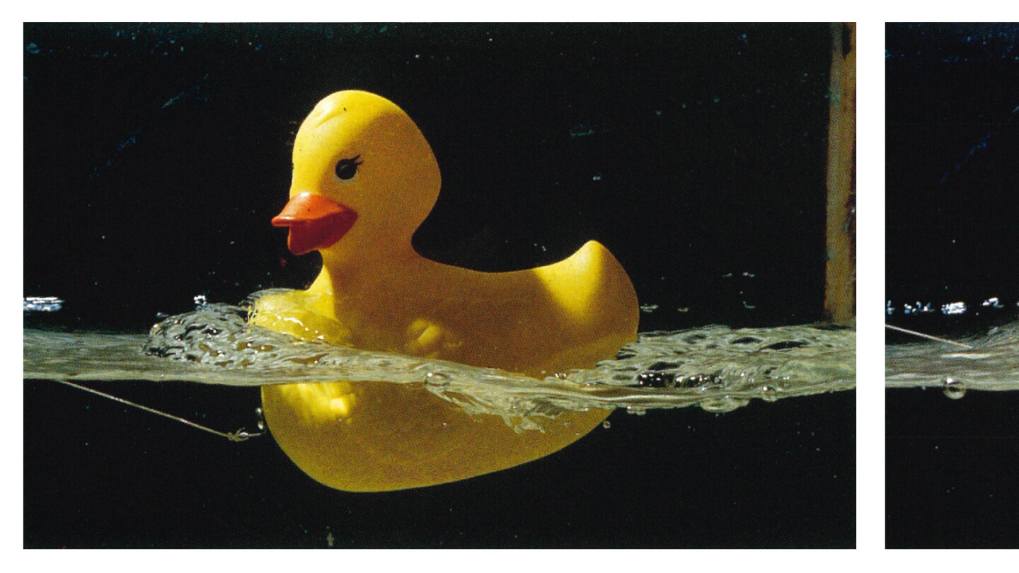 Exposing life’s limits with dimensionless numbers