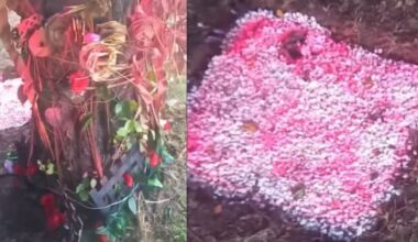 Vandals target roadside crash memorial