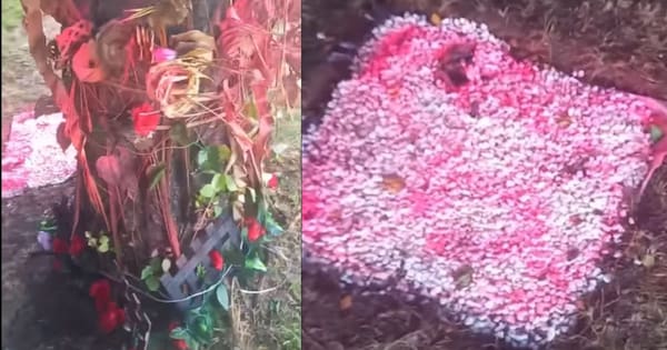 Vandals target roadside crash memorial