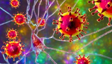 Warning issued for Kiwi travellers over deadly Nipah virus