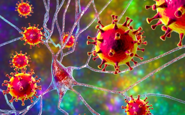 Warning issued for Kiwi travellers over deadly Nipah virus