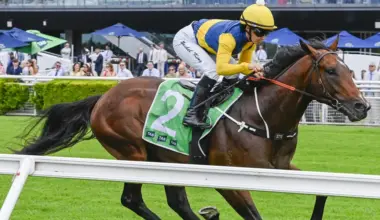 Magic Millions favourite under fitness cloud