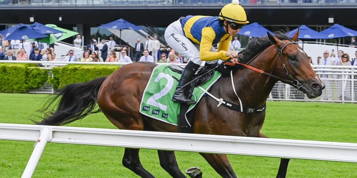 Magic Millions favourite under fitness cloud