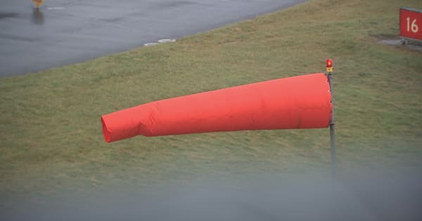 'Extreme wind' sees dozens of flights cancelled at Wellington Airport