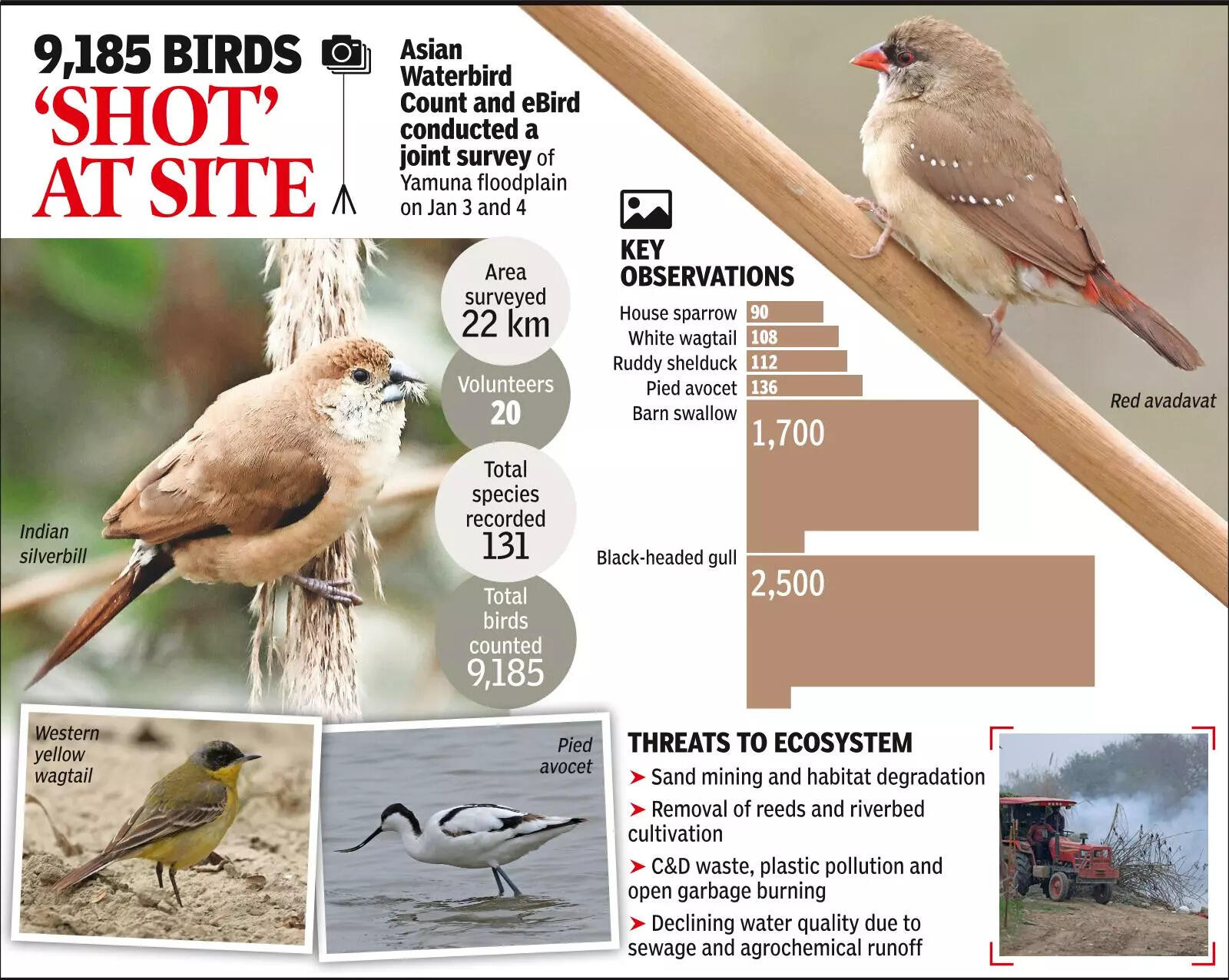 Four Teams Survey 22km Stretch On River Floodplain, Spot 131 Species Winged visitors bank on Yamuna, ecological threats worry birders