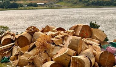 Sold fundraising wood disappears | Otago Daily Times Online News