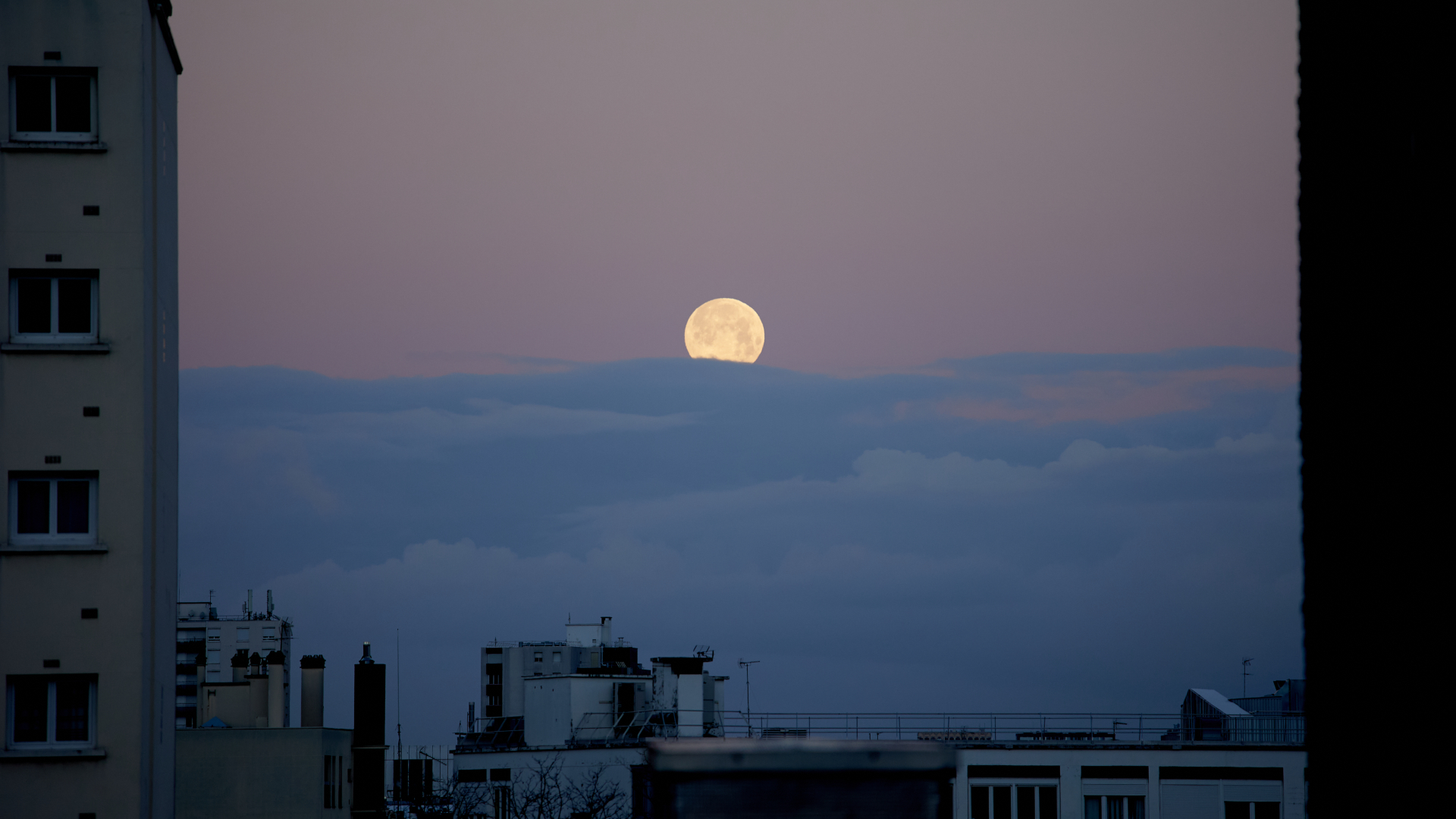 A full moon is pictured rising above a thick cloud bank in the darkening blue evening sky between buildings.