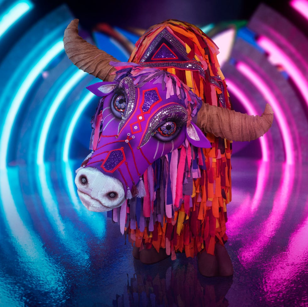 yak, the masked singer