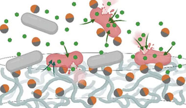 scientific illustration of antibiotics