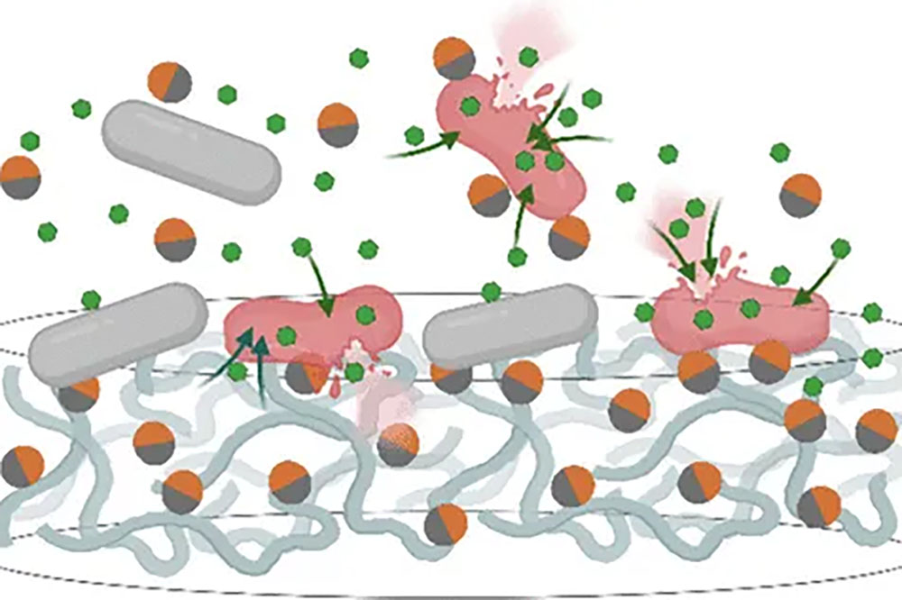 scientific illustration of antibiotics