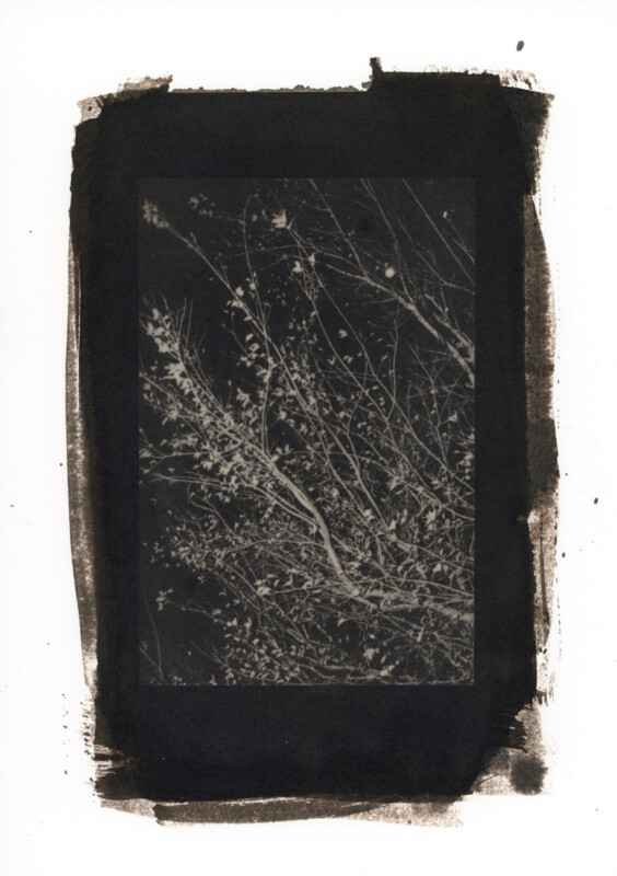 A black and white photograph of thin tree branches with leaves, set against a dark background and surrounded by an uneven, painterly black border on white paper.