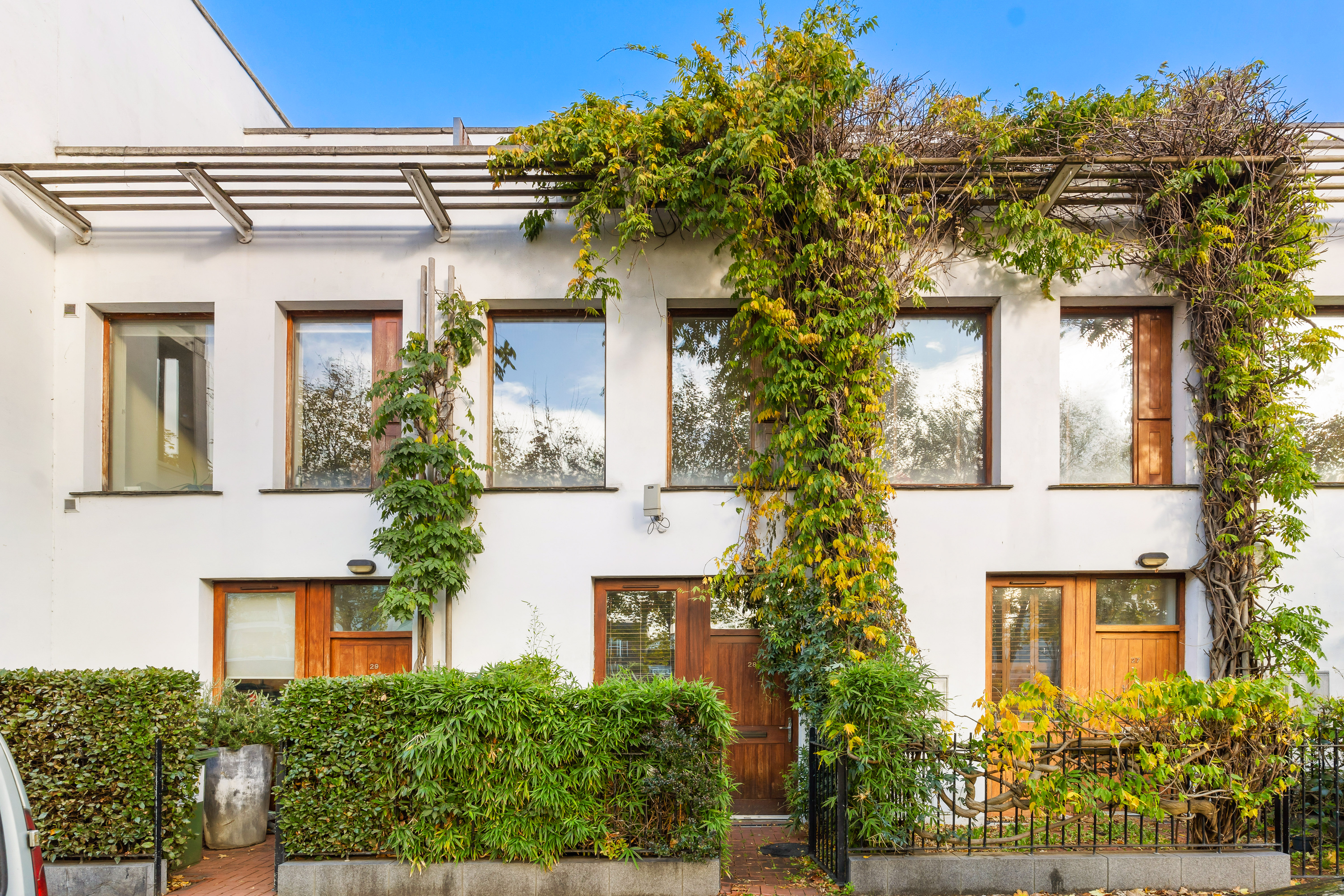 White building with six windows and two doors covered in green vines and surrounded by bushes and short fences.