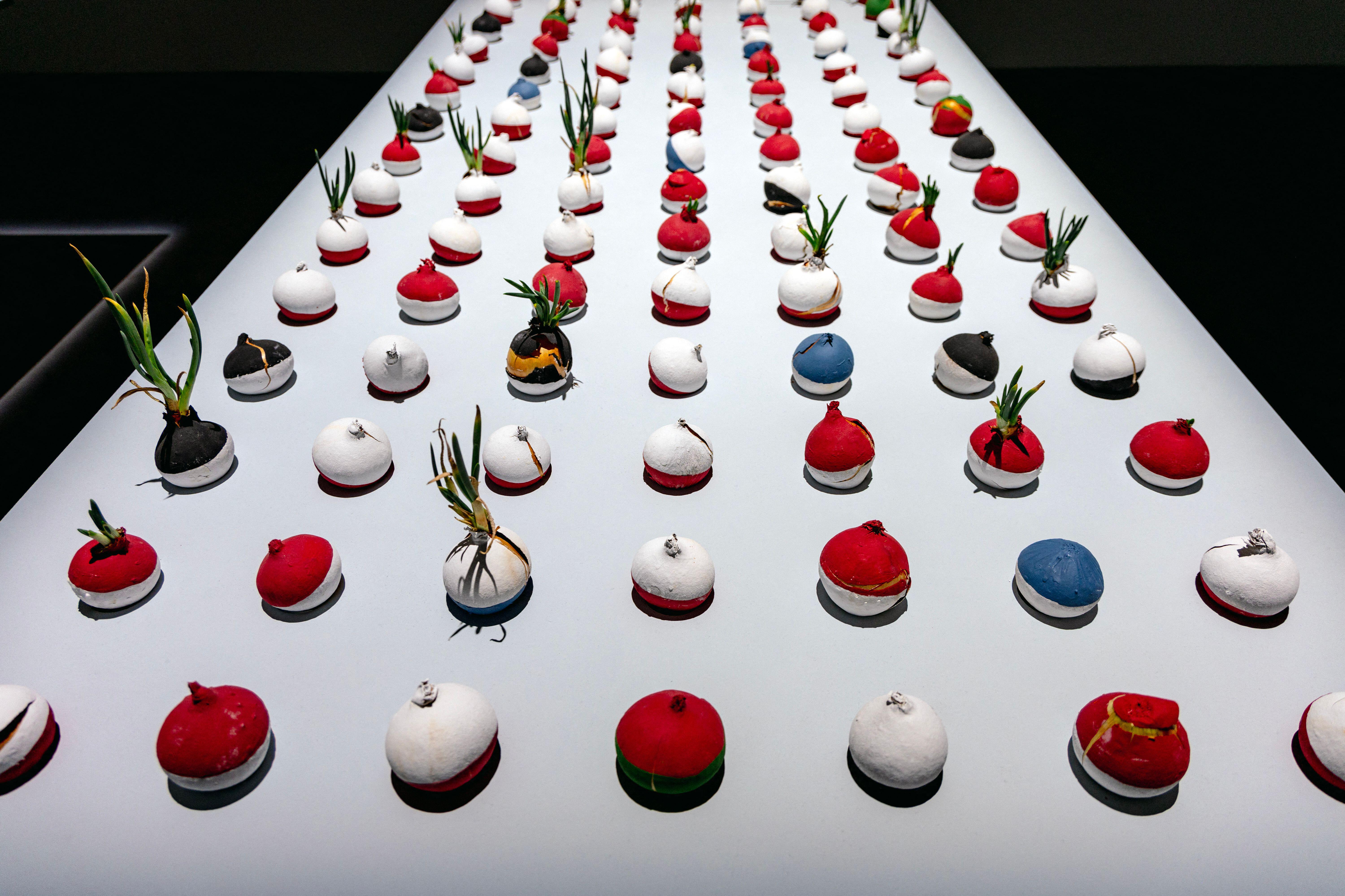 Painted onions in an art installation by William Pope.L at Palais de Tokyo.