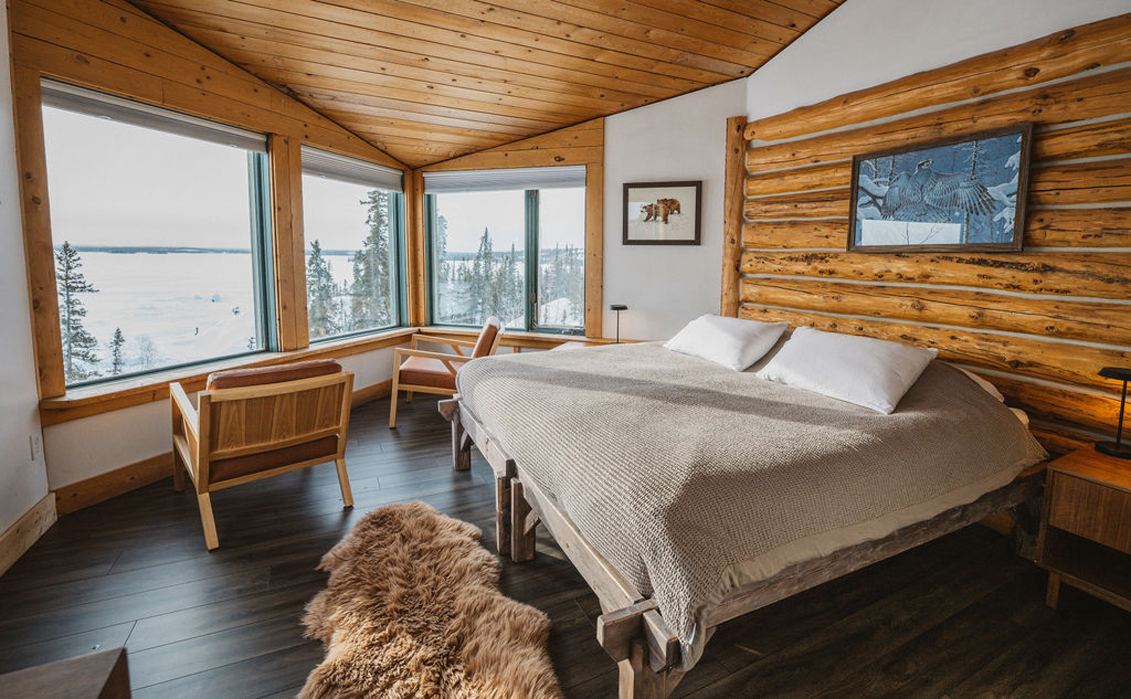 NINTCHDBPICT001052796456