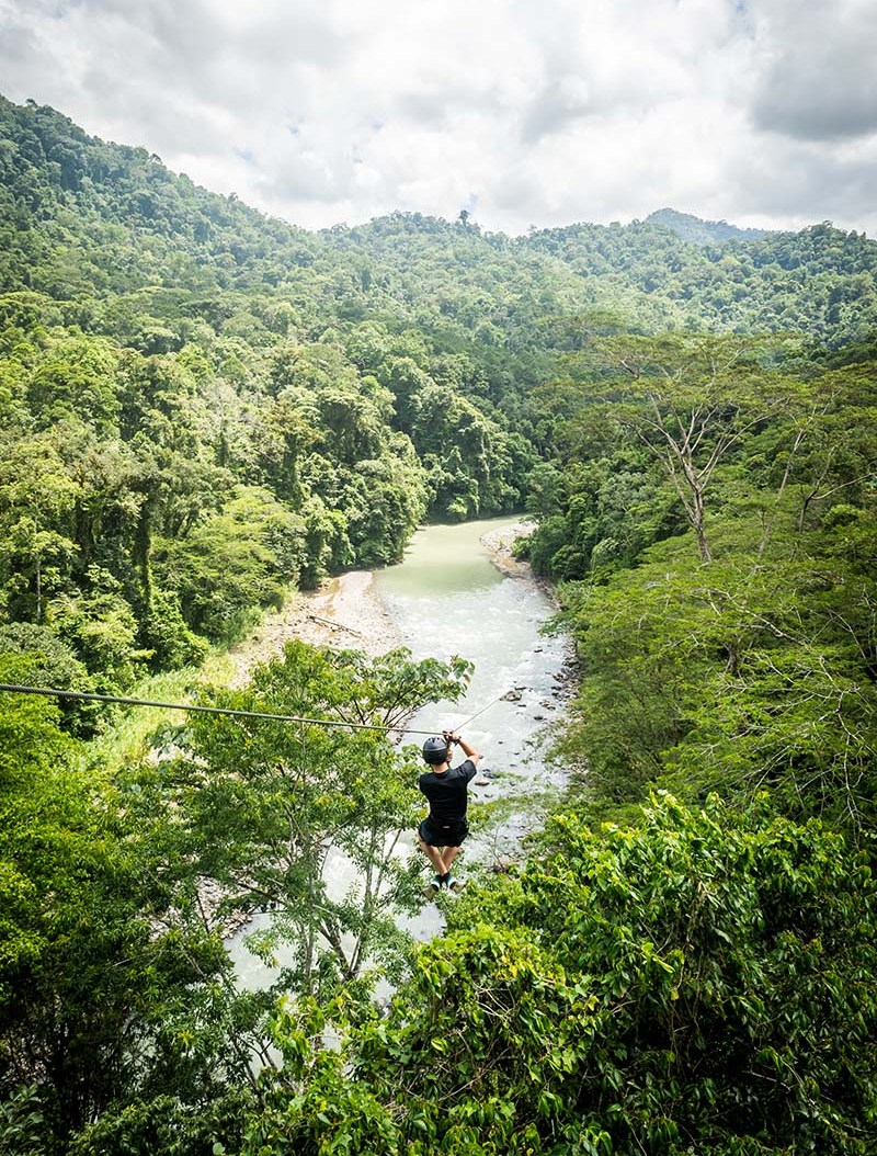 NINTCHDBPICT001053311262