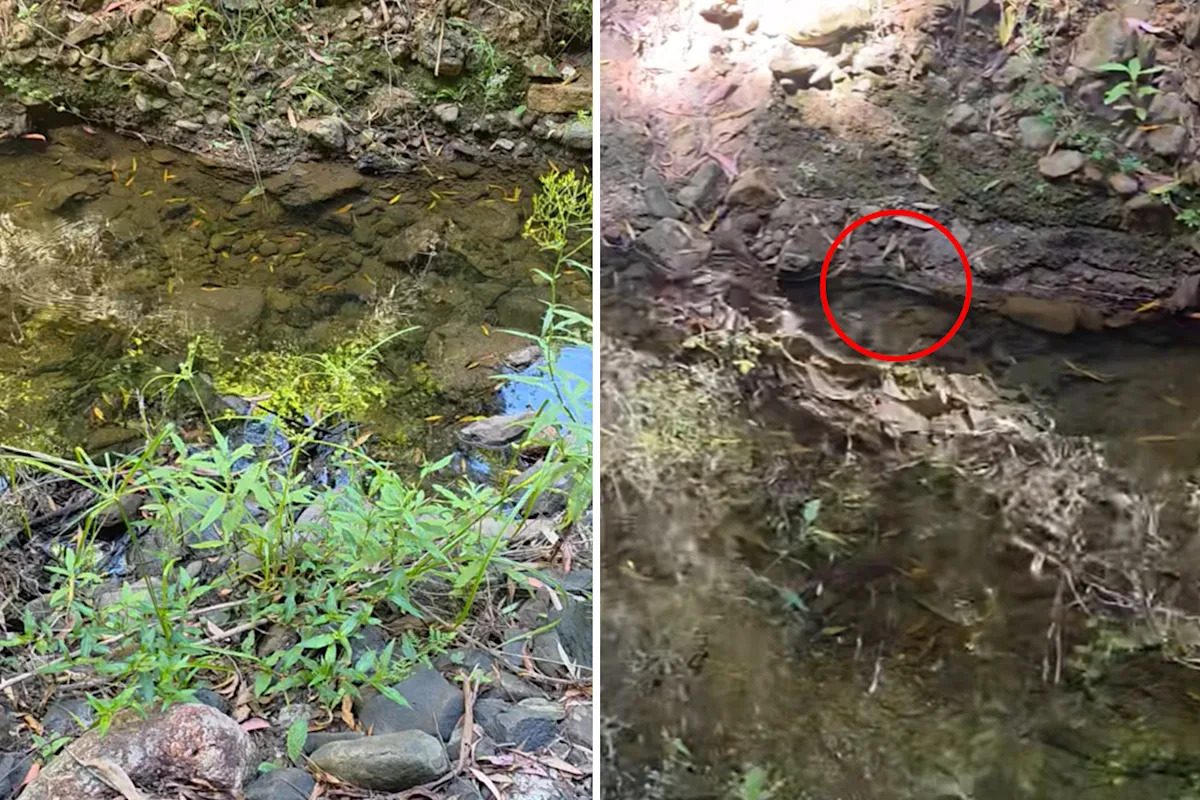Camper's close call near creek sparks warning to Aussies: 'Be careful'