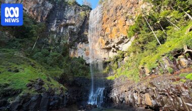Strict caps on bottled water extraction urged for World Heritage-listed Springbrook