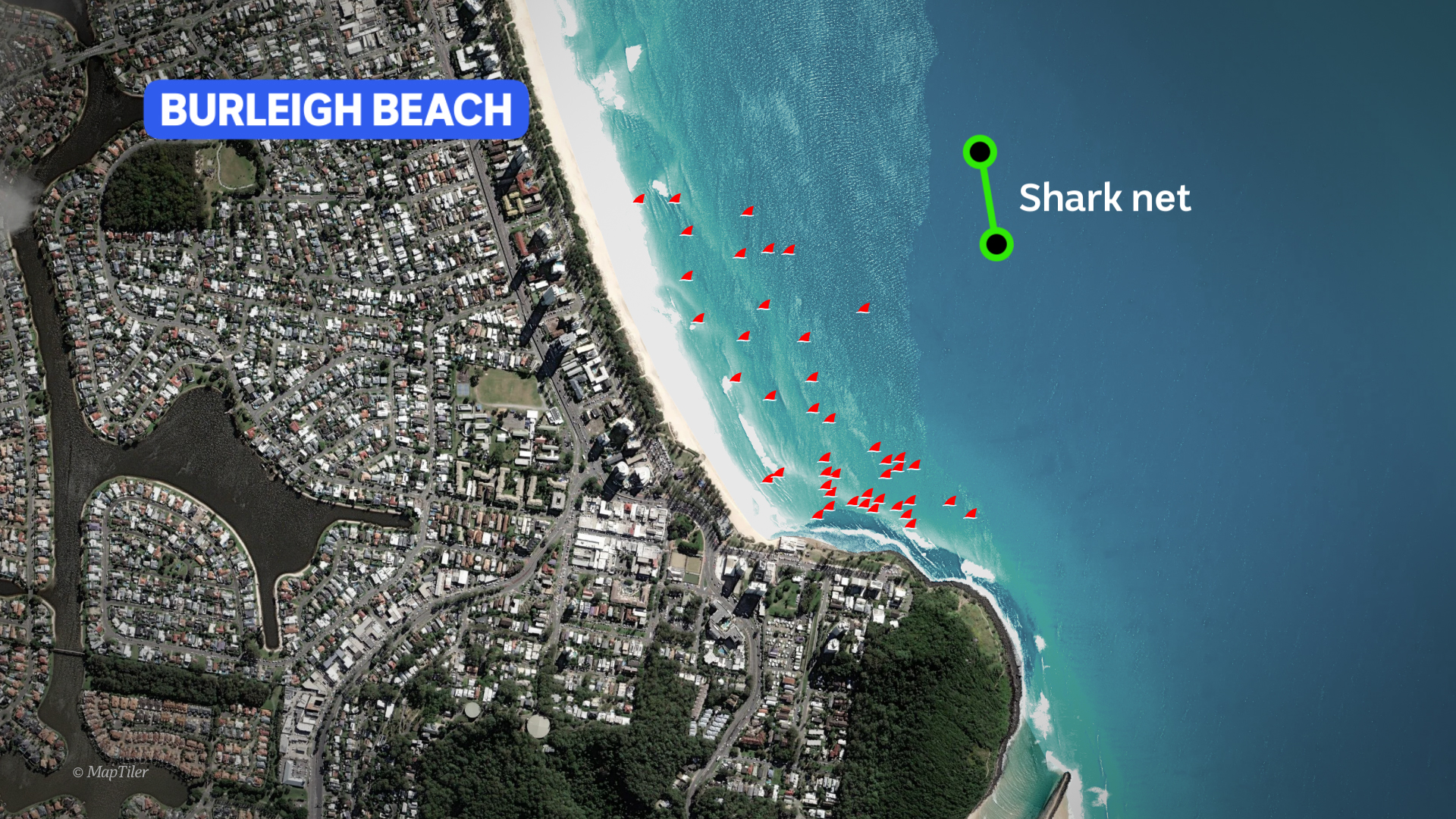 An aerial graphic showing where shark nets are at a beach