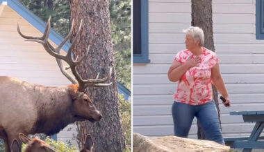 Yahoo lifestyle home