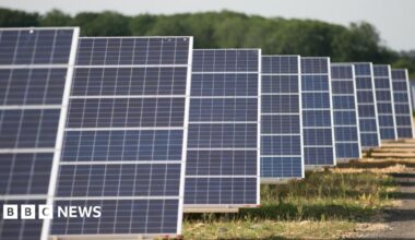 Rows of solar panels with trees in the background