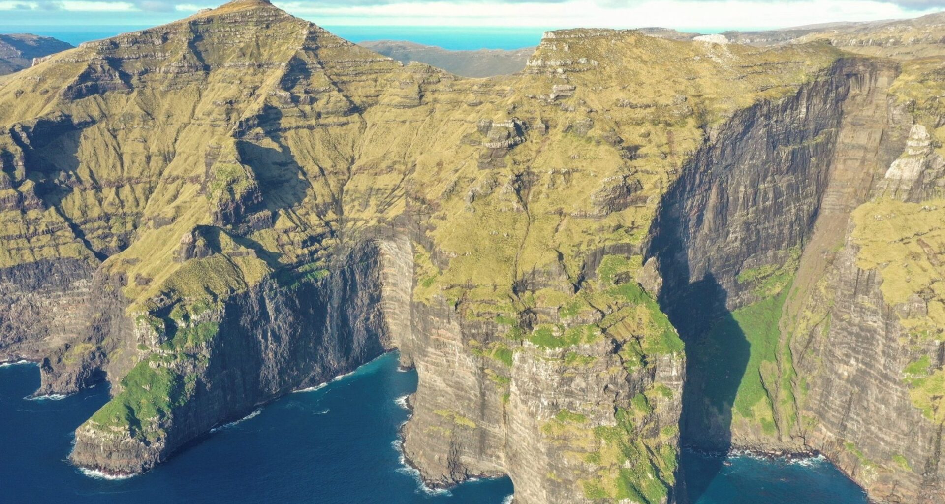 Pushing down the cost of predator control one sausage at a time