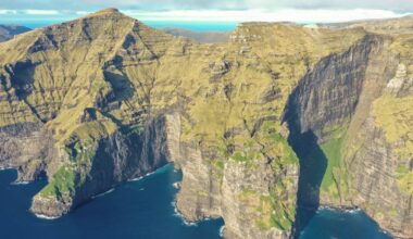 Pushing down the cost of predator control one sausage at a time