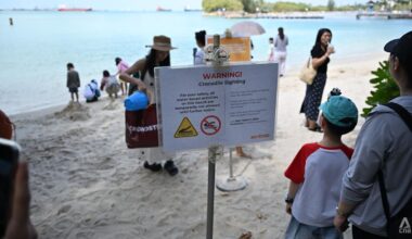 Beachgoers disappointed after crocodile sighting halts water activities at Sentosa beaches