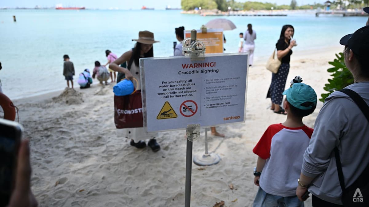 Beachgoers disappointed after crocodile sighting halts water activities at Sentosa beaches