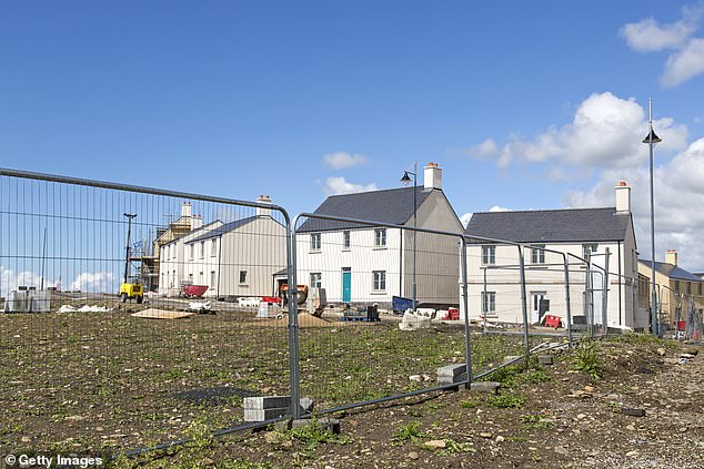 While parts of the project now resembles a rural village - the trial of uninhabited houses have left an unwelcome mark