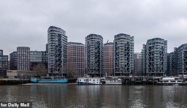 The new US Embassy was built in the area, a new Tube station opened and we were all meant to believe that Nine Elms was one of the most desirable places to live in Britain