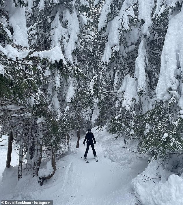 Harper was seen skiing through a tree path