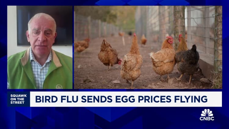 Pete & Gerry's Eggs CEO Tom Flocco: The run-up in egg prices is unprecedented