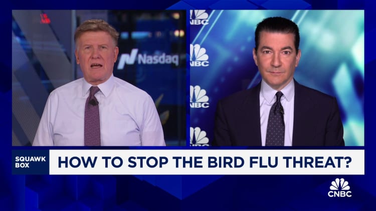 Former FDA Commissioner Dr. Scott Gottlieb on solutions to stop the bird flu outbreak