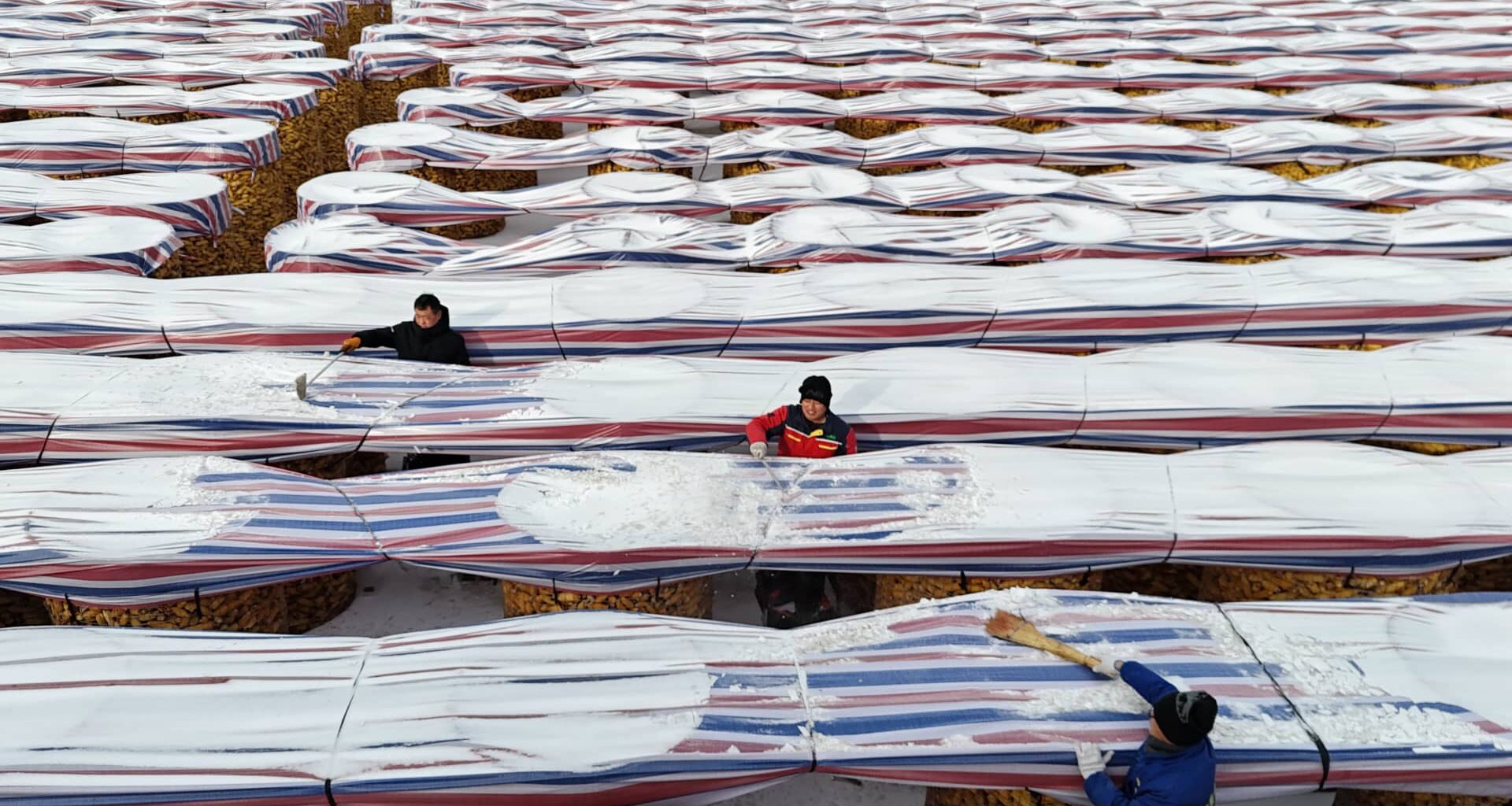 Inside China’s push to feed 1.4 billion people without U.S. crops