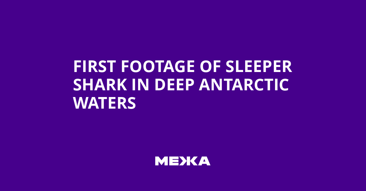 First Footage of Sleeper Shark in Deep Antarctic Waters | Ukraine news