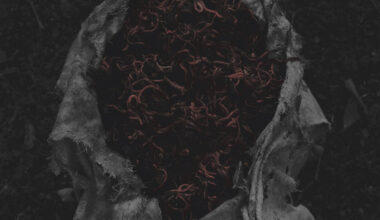 Gorrch - Stillamentum Review | Angry Metal Guy