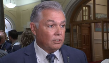 Minister to get briefing amid Boxing NZ investigation